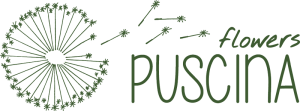 logo_puscina-small